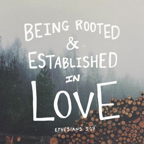 Being Rooted